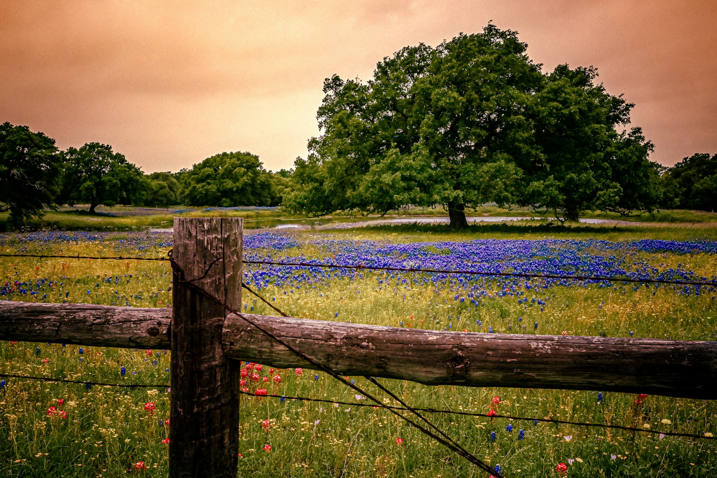A wooden fence beside a pond and wildflowers in Independence, Texas